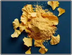 ginkgo-biloba-powder